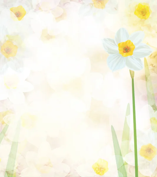 Daffodil Bloemen Abstract Bloemig Bokeh Achtergrond Illustratie — Stockfoto