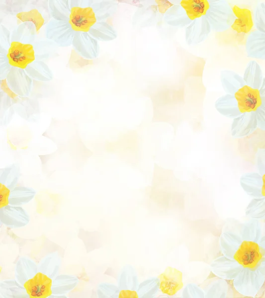 Daffodil Flowers Abstract Background Floral Frame Illustration — Stock Photo, Image