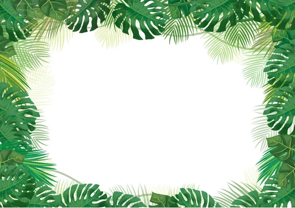 Vector Green Tropical Leaves Border Isolated White Exotic Leaves Frame — Stock Vector