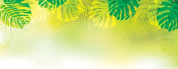 Vector Green Tropical Leaves Background Exotic Leaves Summer Background — Stock Vector