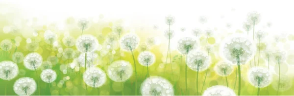 Vector Spring Bokeh Background White Dandelions — Stock Vector