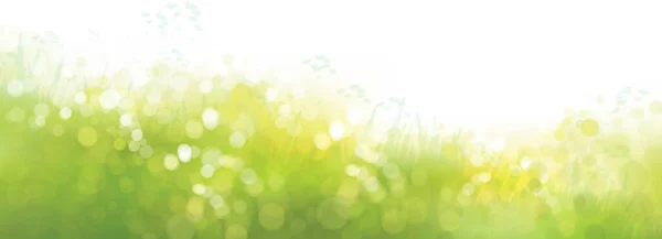 Векторный Зеленый Боке Природный Фон Летний Пейзаж Размыт — стоковый вектор
