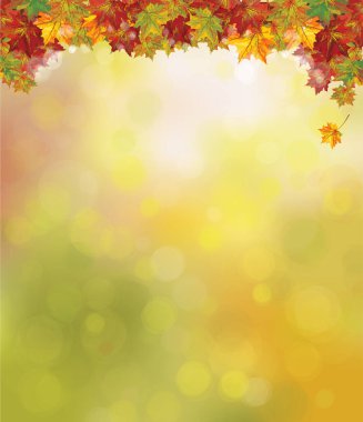 Sonbahar renginde vektör akçaağaç sınırı terk eder. Sonbahar arkaplanı.   