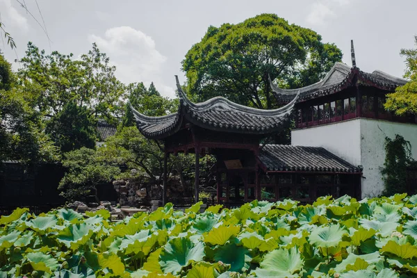 Traditional House Lotus Leaves Humble Administrator Garden Zhuozhengyuan Suzhou China — Stock Photo, Image