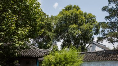 Çin 'in Suzhou kentindeki Lion Grove Garden' da (Shizilin) geleneksel Çin bahçe manzarası