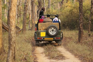 derin ormanda Safari jeep