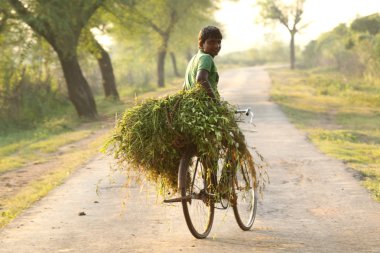 ot taşıyan bir adam
