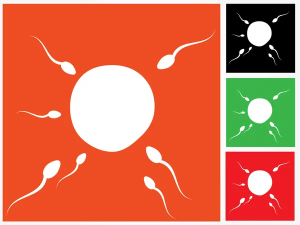 Ovum e espermatozóides. Fertilização — Vetor de Stock