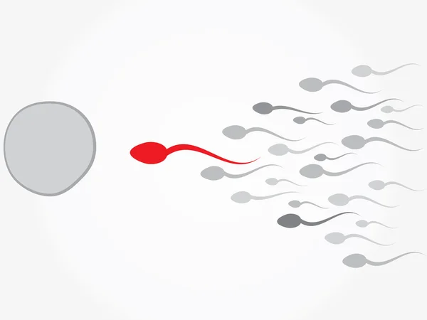 Vajíčka a spermie. oplodnění — Stockový vektor