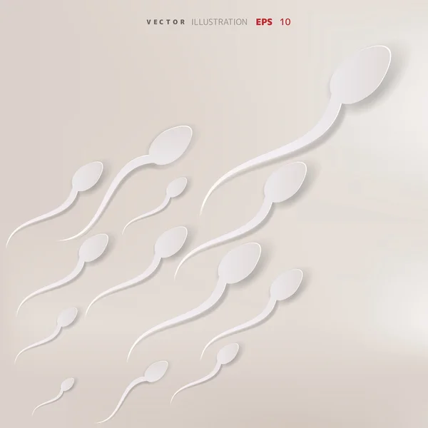 Vektör spermatozoon ovule için yüzen, — Stok Vektör