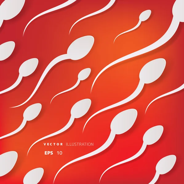 Spermatozoïde vecteur flottant vers l'ovule — Image vectorielle