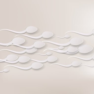 spermatozoon ovule için yüzer,