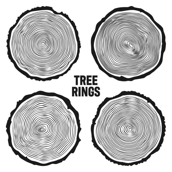 Στρογγυλή κορμό δέντρων, πριστή πεύκη ή φέτες βελανιδιάς, ξυλεία. Πριόνι κομμένο ξύλο, ξύλο. Ξύλινη υφή με δαχτυλίδια δέντρων. Χειροποίητο σκίτσο. Εικονογράφηση διανύσματος — Διανυσματικό Αρχείο
