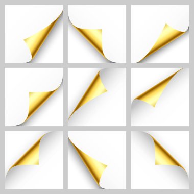 Gerçekçi altın kıvrımlı sayfa seti. Tebrik kartı tasarım elemanı. Boş bir kağıt parçası. Vektör illüstrasyonu.