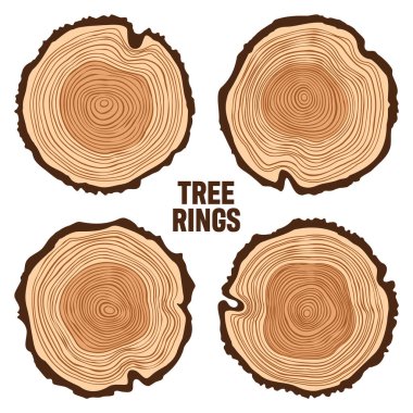 Yuvarlak ağaç gövdesi kesikleri, testereli çam veya meşe dilimleri, kereste. Kesilmiş kereste, ahşap. Kahverengi ahşap desenli ve ağaç halkalı. El çizimi eskiz. Vektör illüstrasyonu