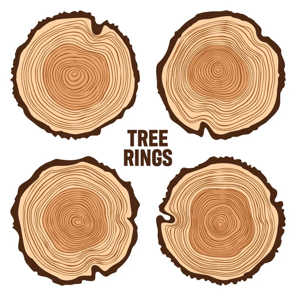 Στρογγυλή κορμό δέντρων, πριστή πεύκη ή φέτες βελανιδιάς, ξυλεία. Πριόνι κομμένο ξύλο, ξύλο. Ξύλινη καφέ υφή με δαχτυλίδια δέντρων. Χειροποίητο σκίτσο. Εικονογράφηση διανύσματος — Διανυσματικό Αρχείο