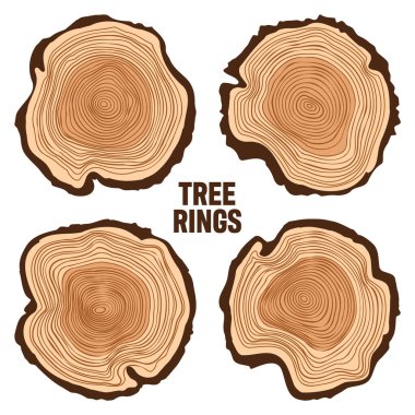Yuvarlak ağaç gövdesi kesikleri, testereli çam veya meşe dilimleri, kereste. Kesilmiş kereste, ahşap. Kahverengi ahşap desenli ve ağaç halkalı. El çizimi eskiz. Vektör illüstrasyonu