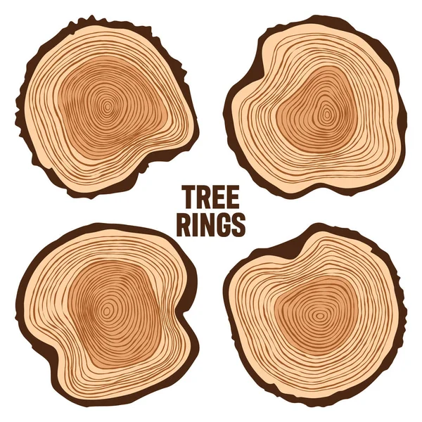Στρογγυλή κορμό δέντρων, πριστή πεύκη ή φέτες βελανιδιάς, ξυλεία. Πριόνι κομμένο ξύλο, ξύλο. Ξύλινη καφέ υφή με δαχτυλίδια δέντρων. Χειροποίητο σκίτσο. Εικονογράφηση διανύσματος — Διανυσματικό Αρχείο