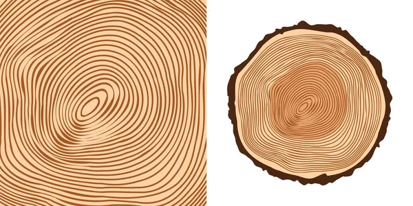 Corte de tronco de árbol redondo, aserrado de pino o roble. Madera aserrada, madera. Textura de madera marrón con anillos de árbol. Dibujo dibujado a mano. Ilustración vectorial — Vector de stock