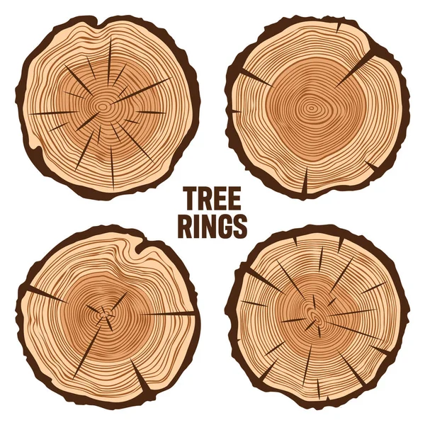 Στρογγυλό κορμό δέντρου κόβει με ρωγμές, πριονισμένο πεύκο ή φέτες βελανιδιάς, ξυλεία. Πριόνι κομμένο ξύλο, ξύλο. Ξύλινη καφέ υφή με δαχτυλίδια δέντρων. Χειροποίητο σκίτσο. Εικονογράφηση διανύσματος — Διανυσματικό Αρχείο