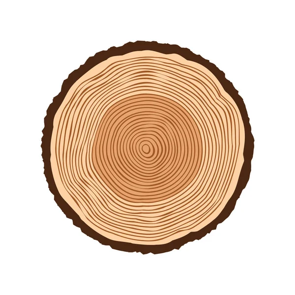 Round tree trunk cut, sawn pine or oak slice. Saw cut timber, wood. Brown wooden texture with tree rings. Hand drawn sketch. Vector illustration — Stock Vector