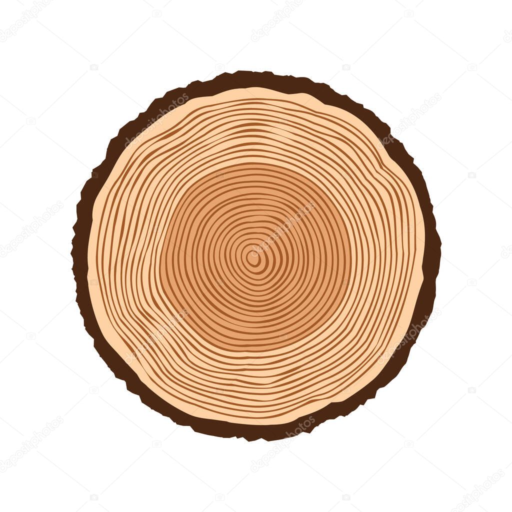 Corte de tronco de árbol redondo, aserrado de pino o roble. Madera  aserrada, madera. Textura de madera marrón con anillos de árbol. Dibujo  dibujado a mano. Ilustración vectorial Vector de stock por ©, image size:1024x1024