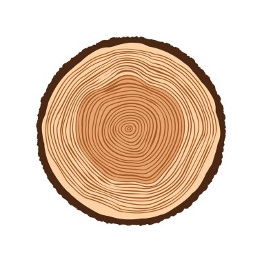 Yuvarlak ağaç gövdesi, kesilmiş çam veya meşe ağacı dilimi. Kesilmiş kereste, ahşap. Kahverengi ahşap desenli ve ağaç halkalı. El çizimi eskiz. Vektör illüstrasyonu