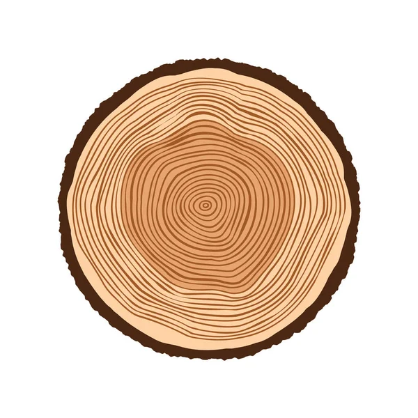 Corte de tronco de árbol redondo, aserrado de pino o roble. Madera aserrada, madera. Textura de madera marrón con anillos de árbol. Dibujo dibujado a mano. Ilustración vectorial — Vector de stock