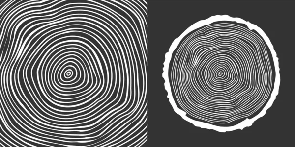 Round tree trunk cut, sawn pine or oak slice. Saw cut timber, wood. White wooden texture with tree rings. Hand drawn sketch. Vector illustration — Image vectorielle