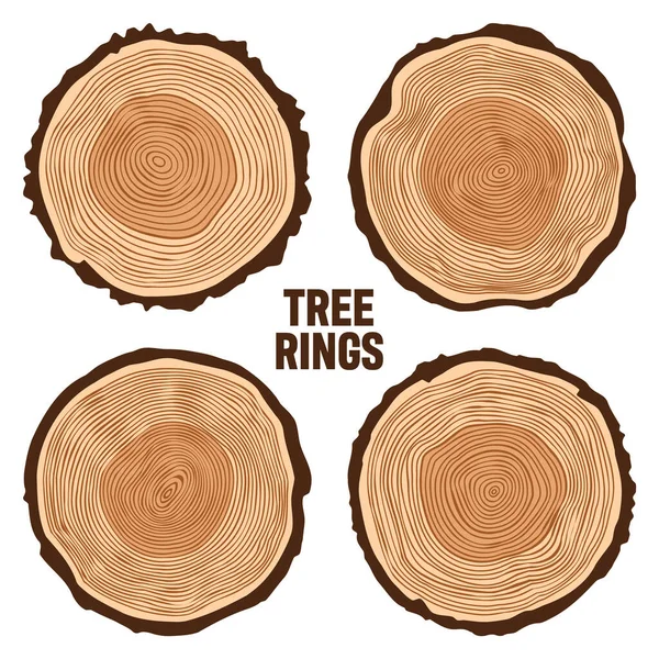 Yuvarlak ağaç gövdesi kesikleri, testereli çam veya meşe dilimleri, kereste. Kesilmiş kereste, ahşap. Kahverengi ahşap desenli ve ağaç halkalı. El çizimi eskiz. Vektör illüstrasyonu