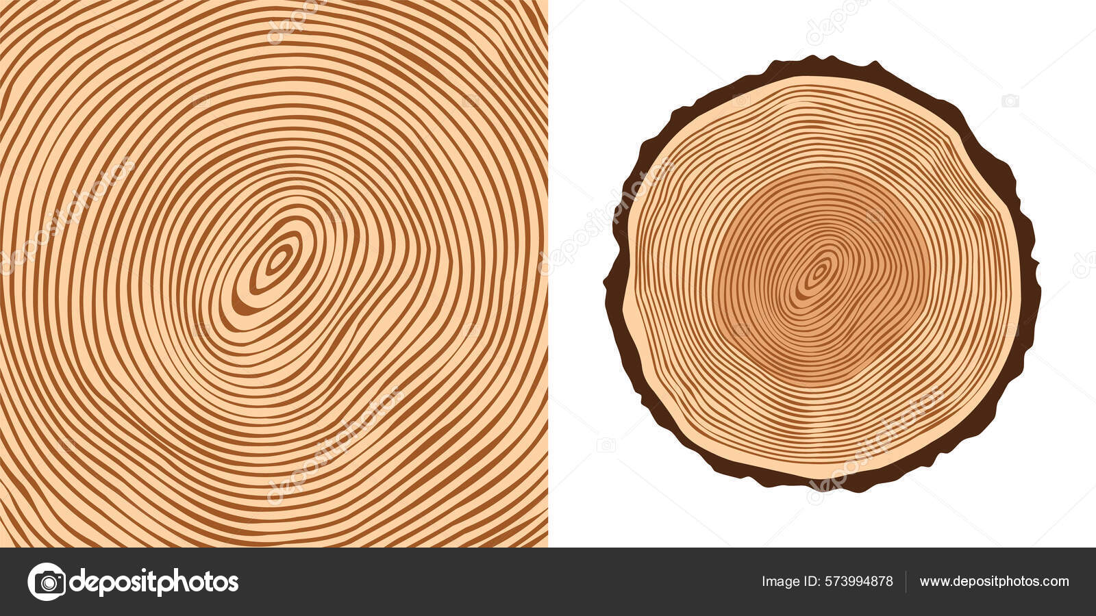 Tree Trunk Cuts Cracks Sawn Pine Oak Slices Lumber Saw Stock Vector by  ©floral_set 575342148