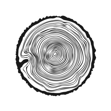 Yuvarlak ağaç gövdesi, kesilmiş çam veya meşe ağacı dilimi. Kesilmiş kereste, ahşap. Ağaç halkalı ahşap bir doku. El çizimi eskiz. Vektör illüstrasyonu.