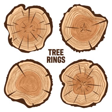 Yuvarlak ağaç gövdesi kesikleri, çam ağacı veya meşe dilimleri, kereste. Kesilmiş kereste, ahşap. Kahverengi ahşap desenli ve ağaç halkalı. El çizimi eskiz. Vektör illüstrasyonu.