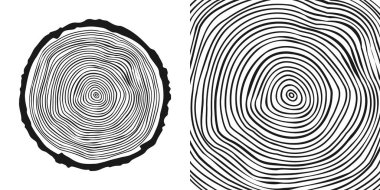 Yuvarlak ağaç gövdesi, kesilmiş çam veya meşe ağacı dilimi. Kesilmiş kereste, ahşap. Ağaç halkalı ahşap bir doku. El çizimi eskiz. Vektör illüstrasyonu.