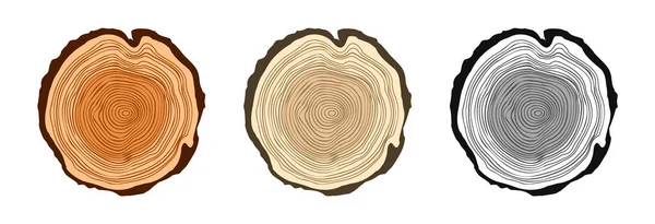 Tree Trunk Cuts Various Colors Sawn Pine Oak Slices Lumber — Stockový vektor
