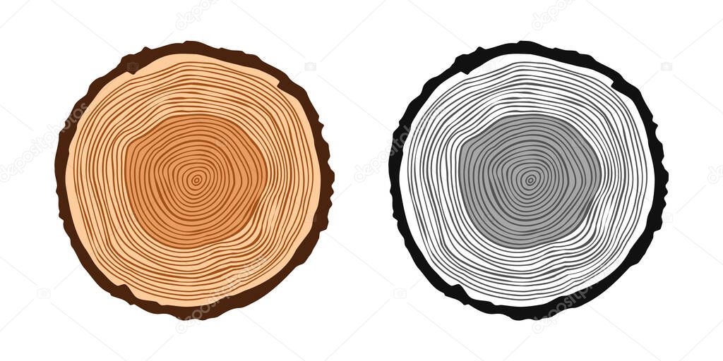 Round tree trunk cuts in various colors, sawn pine or oak slices, lumber. Saw cut timber, wood. Brown wooden texture with tree rings. Hand drawn sketch. Vector illustration.