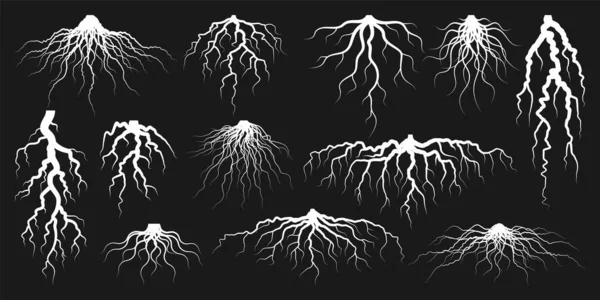 Διάφορες Ρεαλιστικές Ρίζες Δέντρων Θάμνων Μέρη Του Φυτού Ριζικό Σύστημα — Διανυσματικό Αρχείο