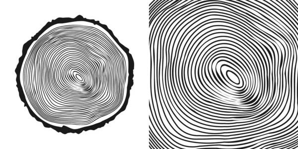 Tronc Arbre Rond Coupé Pin Scié Tranche Chêne Scie Bois — Image vectorielle