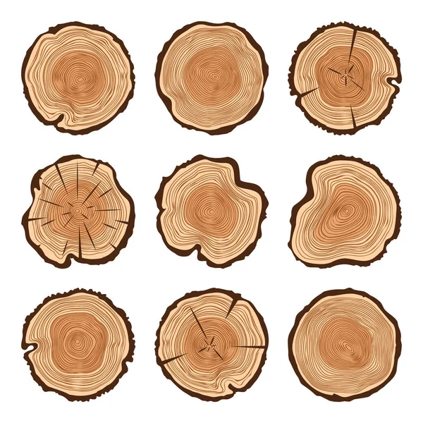 Trozos Tronco Árbol Redondo Con Grietas Aserrado Pino Roble Madera — Vector de stock