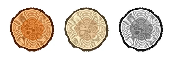 Tree Trunk Cuts Various Colors Sawn Pine Oak Slices Lumber — Stockvector