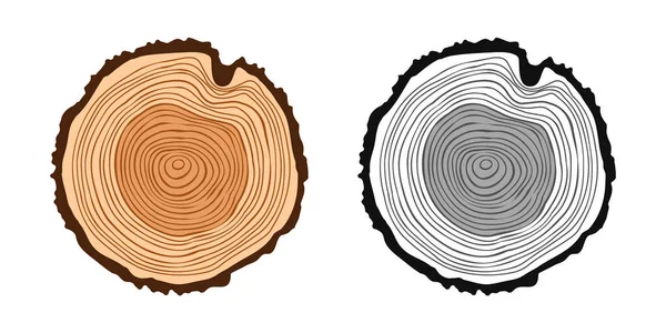 Corte Tronco Árbol Redondo Varios Colores Aserrado Pino Roble Madera — Vector de stock