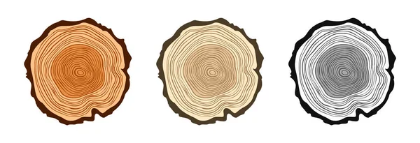 Tree Trunk Cuts Various Colors Sawn Pine Oak Slices Lumber — Vector de stock