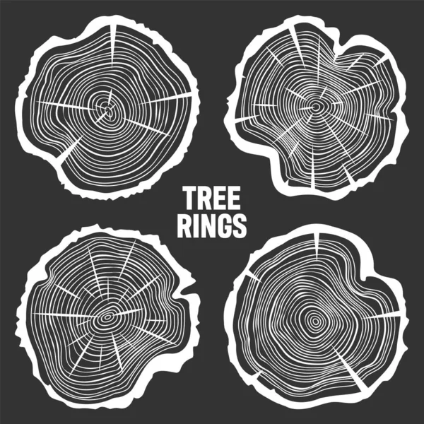 Λευκό Στρογγυλό Κορμό Δέντρου Κόβει Ρωγμές Πριονισμένο Πεύκο Φέτες Βελανιδιάς — Διανυσματικό Αρχείο