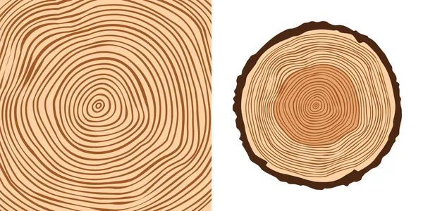 Yuvarlak Ağaç Gövdesi Kesilmiş Çam Veya Meşe Ağacı Dilimi Kesilmiş — Stok Vektör