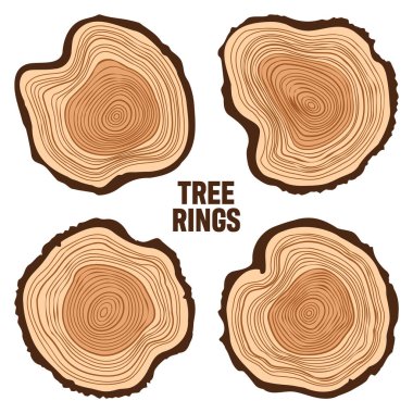 Yuvarlak ağaç gövdesi kesikleri, testereli çam veya meşe dilimleri, kereste. Kesilmiş kereste, ahşap. Kahverengi ahşap desenli ve ağaç halkalı. El çizimi eskiz. Vektör illüstrasyonu.