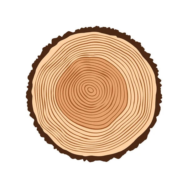 Tree Trunk Cut Sawn Pine Oak Slice Saw Cut Timber — Stock Vector