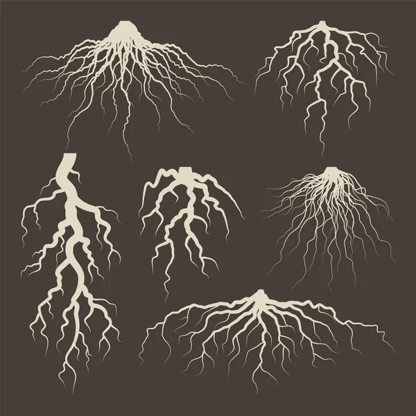 Varios Árboles Marrones Raíces Arbustos Partes Planta Sistema Raíces Con — Vector de stock