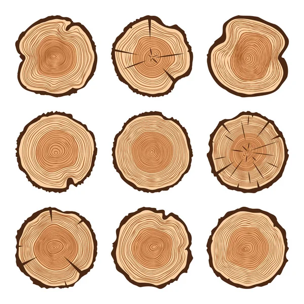 Trozos Tronco Árbol Redondo Con Grietas Aserrado Pino Roble Madera — Vector de stock