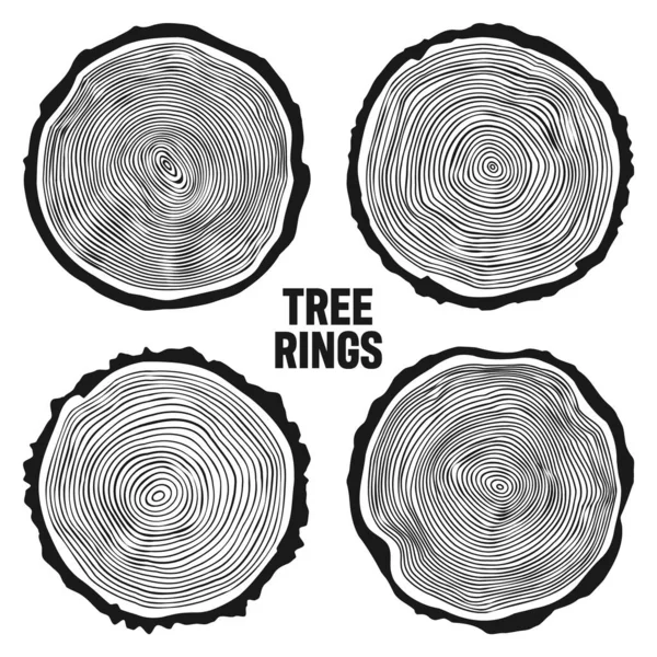 Στρογγυλή Κορμό Δέντρων Πριστή Πεύκη Φέτες Βελανιδιάς Ξυλεία Πριόνι Κομμένο — Διανυσματικό Αρχείο