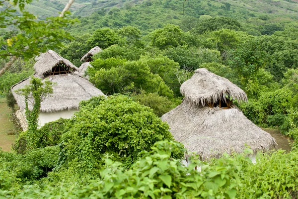 Orman thatched çatı